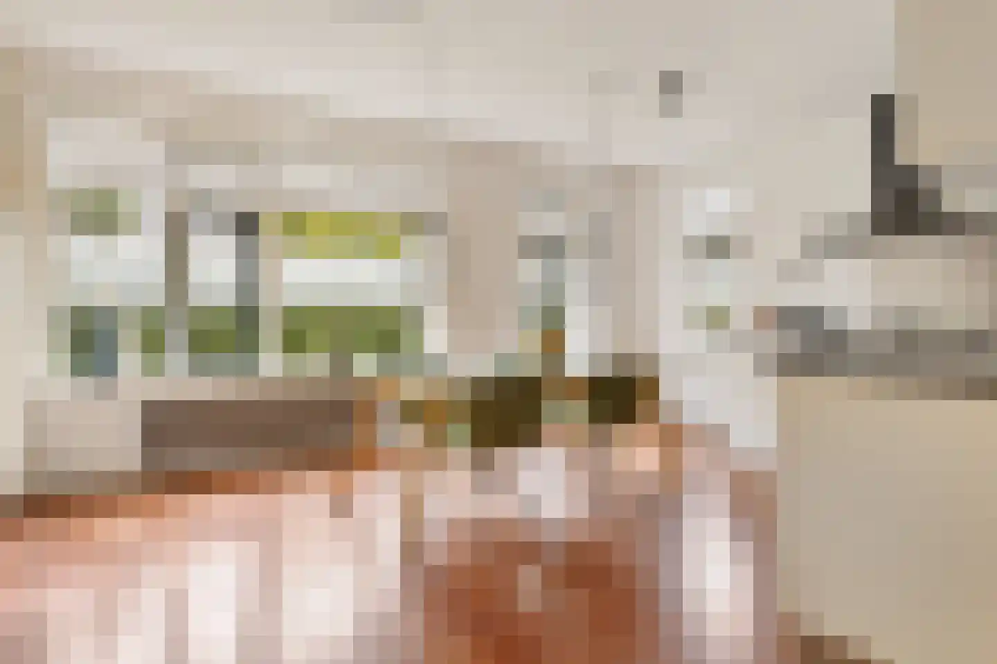 Meezenbroekstraat 47 Veendam thumbnail 33