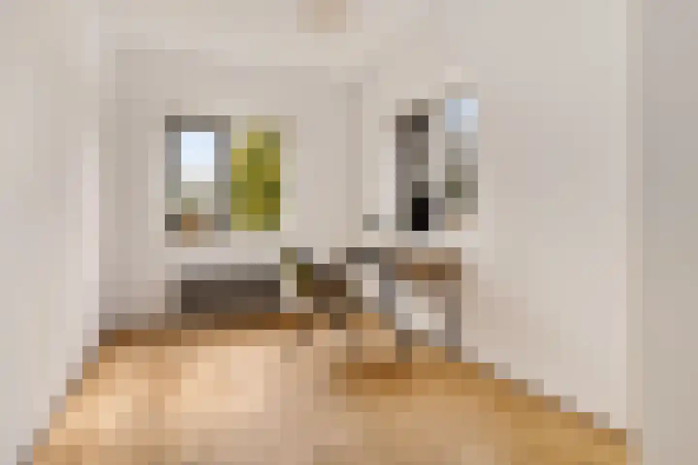 Meezenbroekstraat 47 Veendam thumbnail 40
