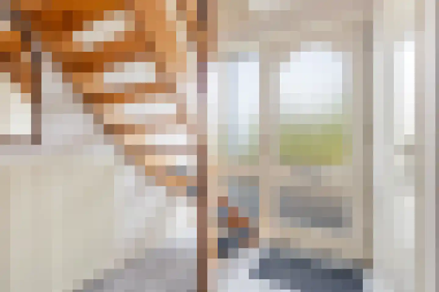 Mefrou Schiffstrjitte 10 Damwâld thumbnail 13