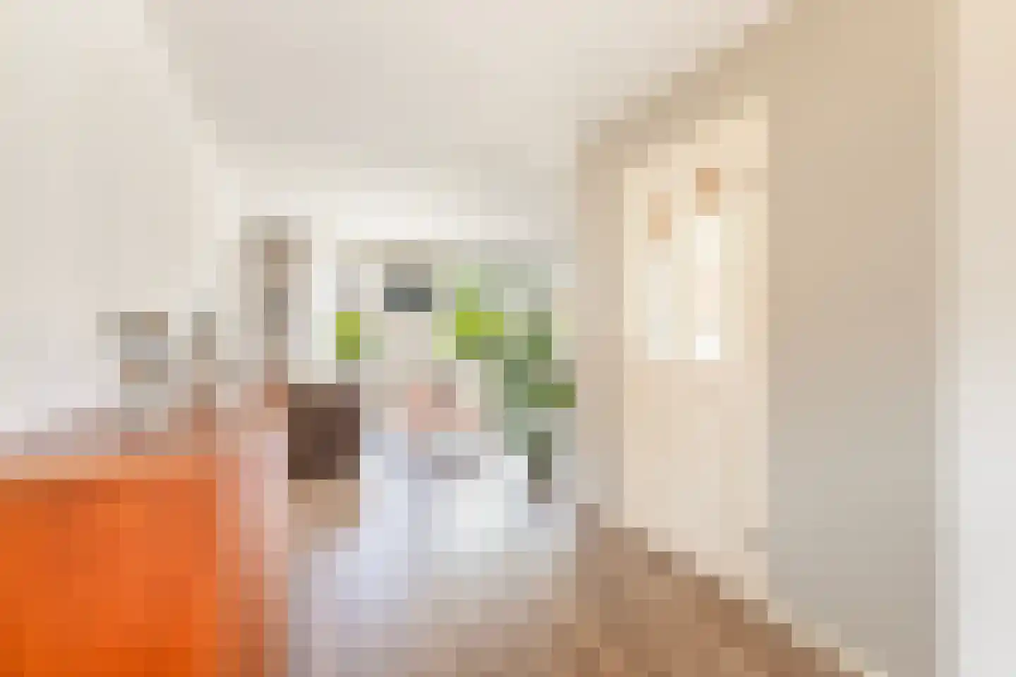 Mefrou Schiffstrjitte 10 Damwâld thumbnail 14