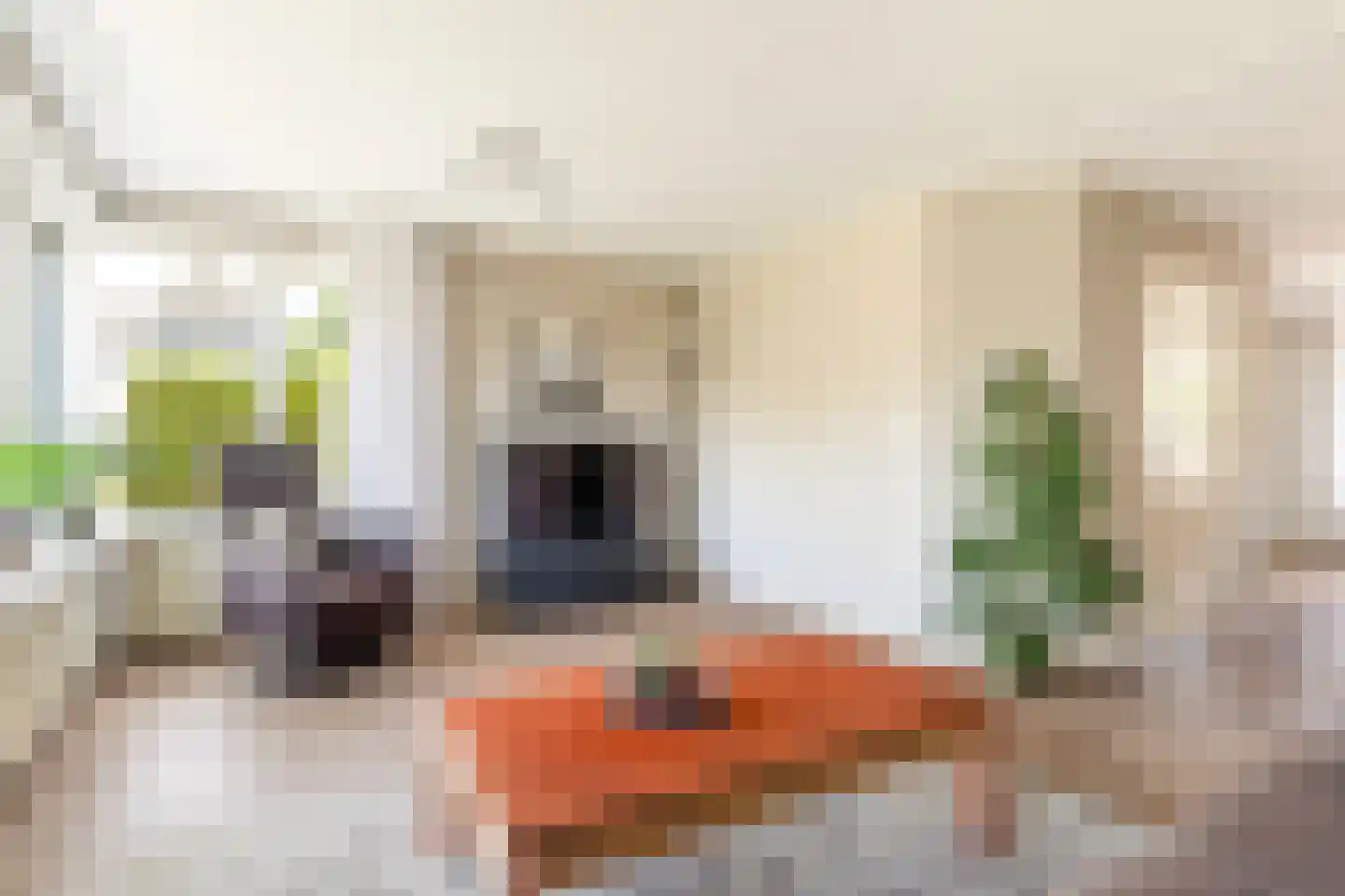 Mefrou Schiffstrjitte 10 Damwâld thumbnail 17