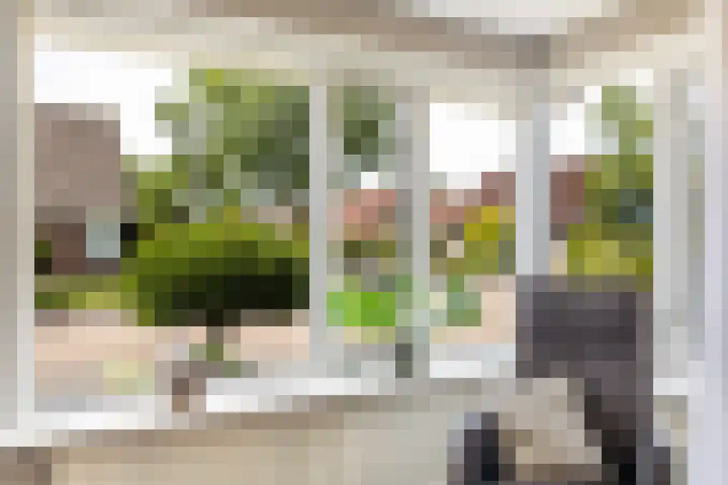 Mefrou Schiffstrjitte 10 Damwâld thumbnail 18