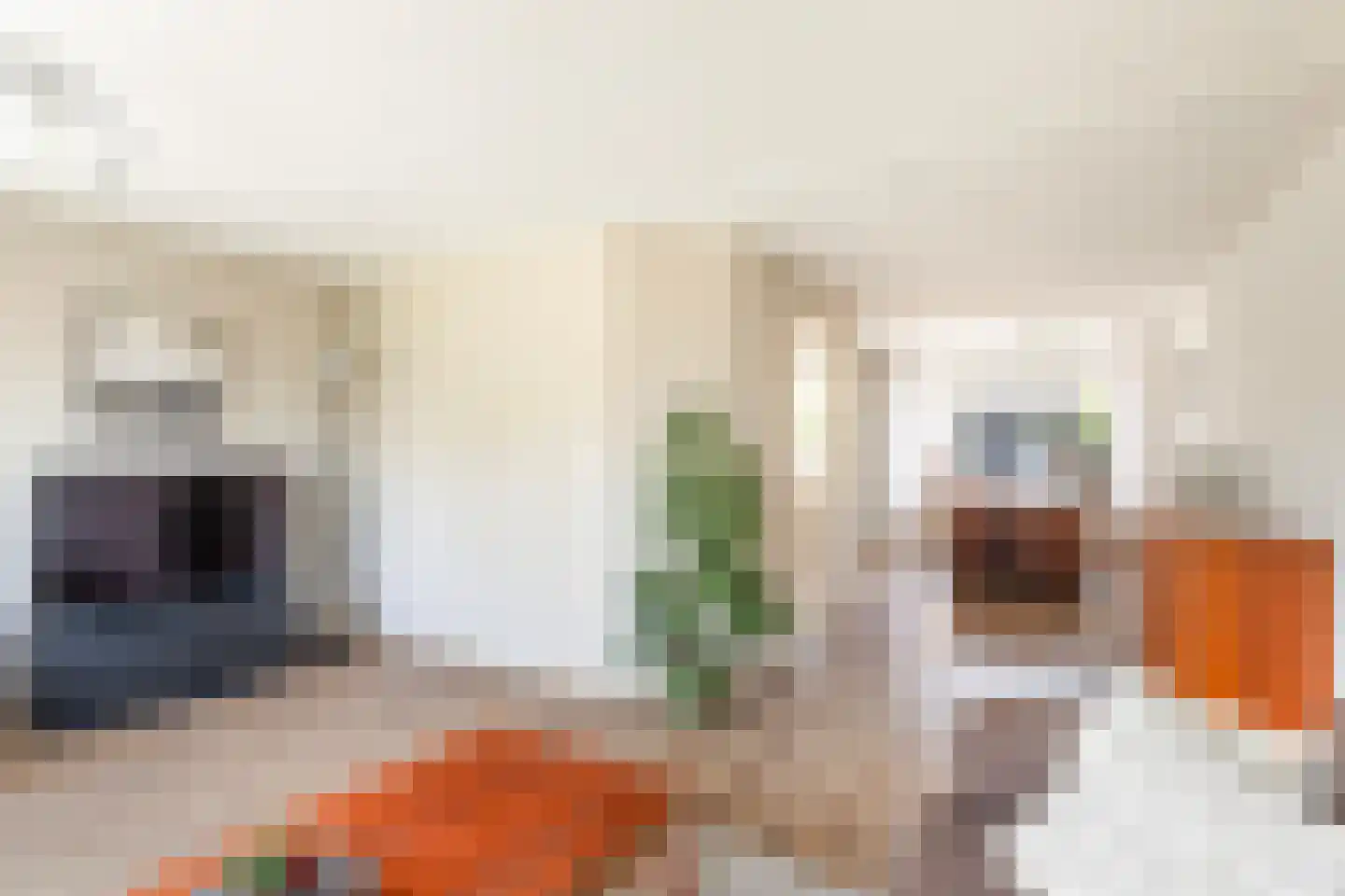 Mefrou Schiffstrjitte 10 Damwâld thumbnail 19