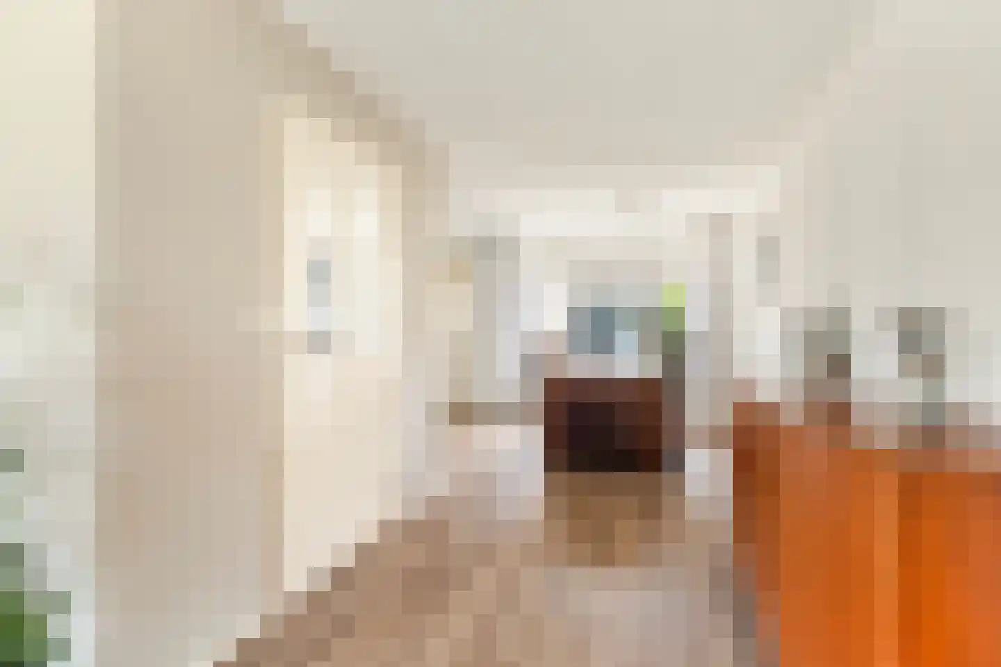 Mefrou Schiffstrjitte 10 Damwâld thumbnail 20