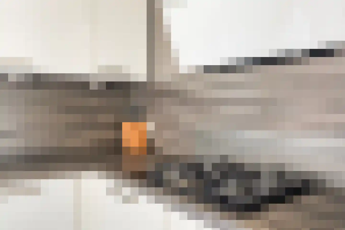 Mefrou Schiffstrjitte 10 Damwâld thumbnail 25
