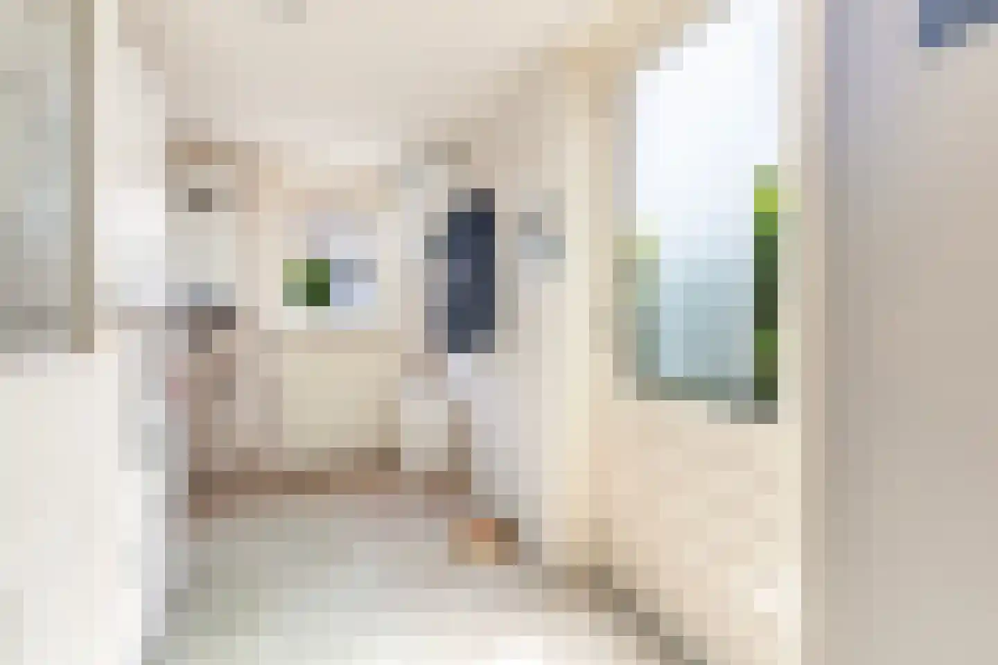 Mefrou Schiffstrjitte 10 Damwâld thumbnail 26
