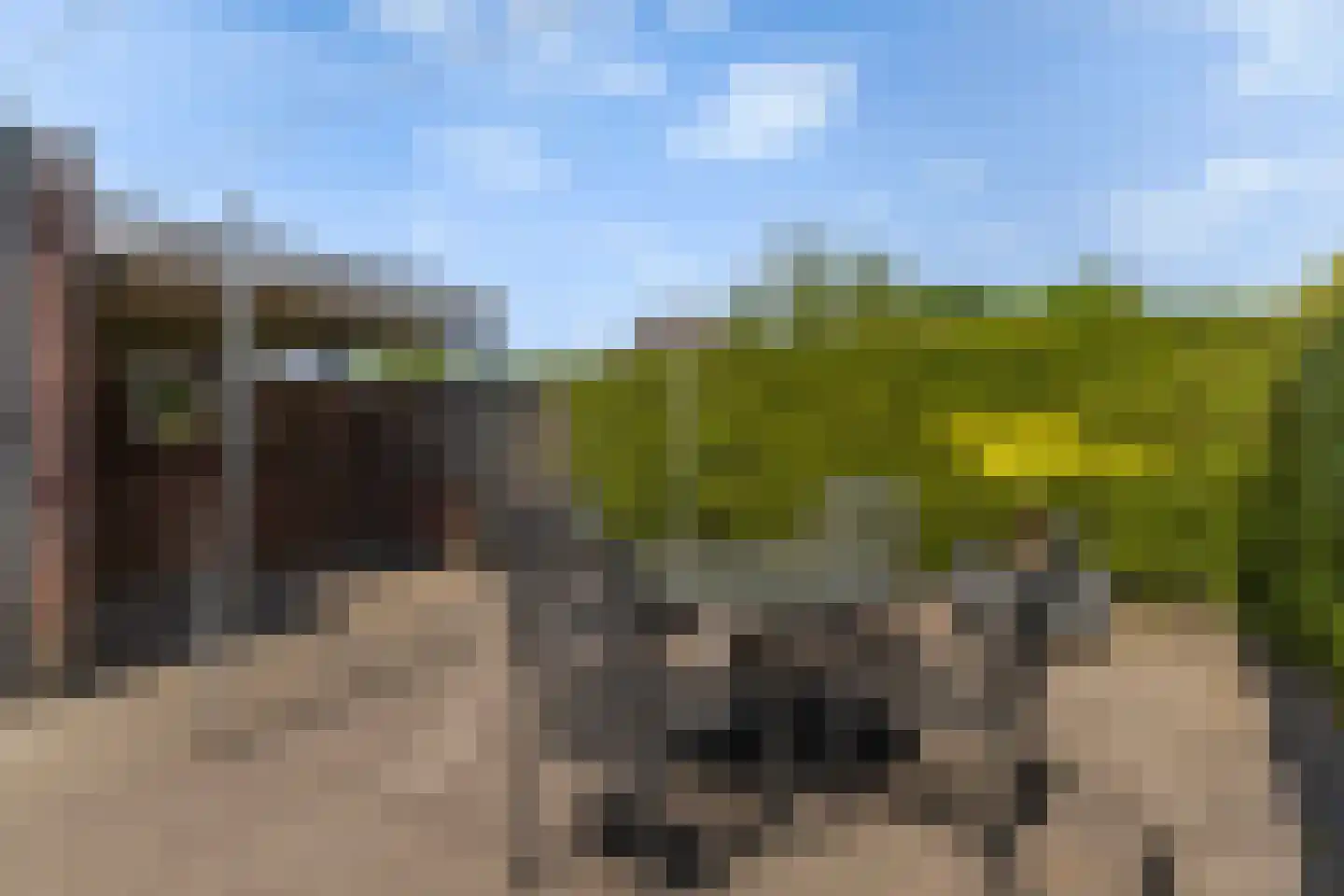 Mefrou Schiffstrjitte 10 Damwâld thumbnail 28