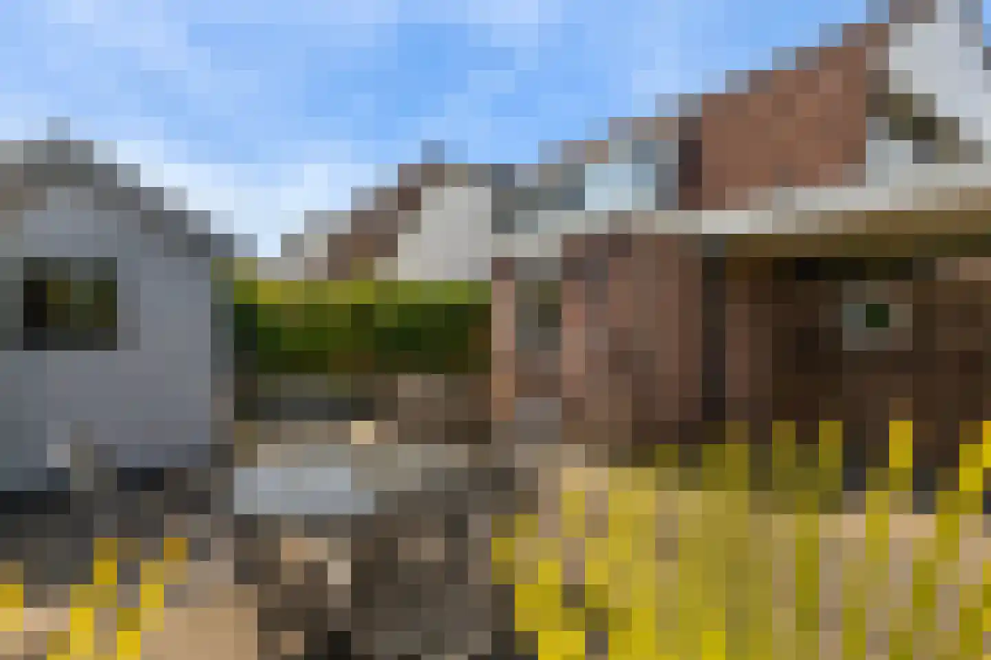 Mefrou Schiffstrjitte 10 Damwâld thumbnail 29
