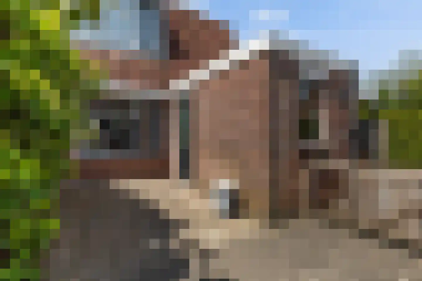 Mefrou Schiffstrjitte 10 Damwâld thumbnail 31