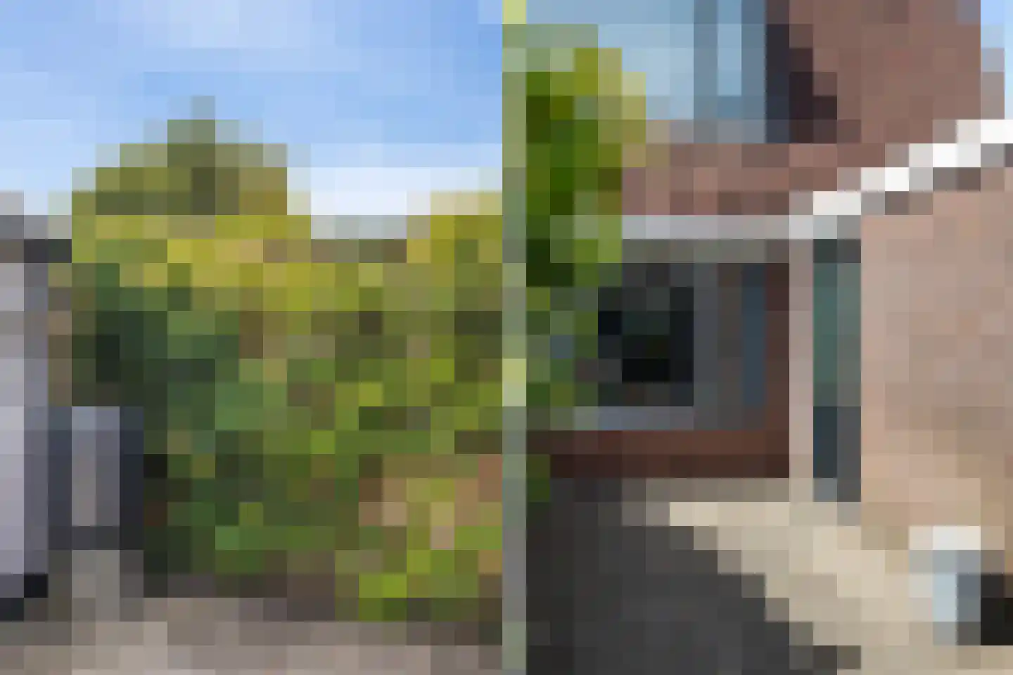 Mefrou Schiffstrjitte 10 Damwâld thumbnail 32