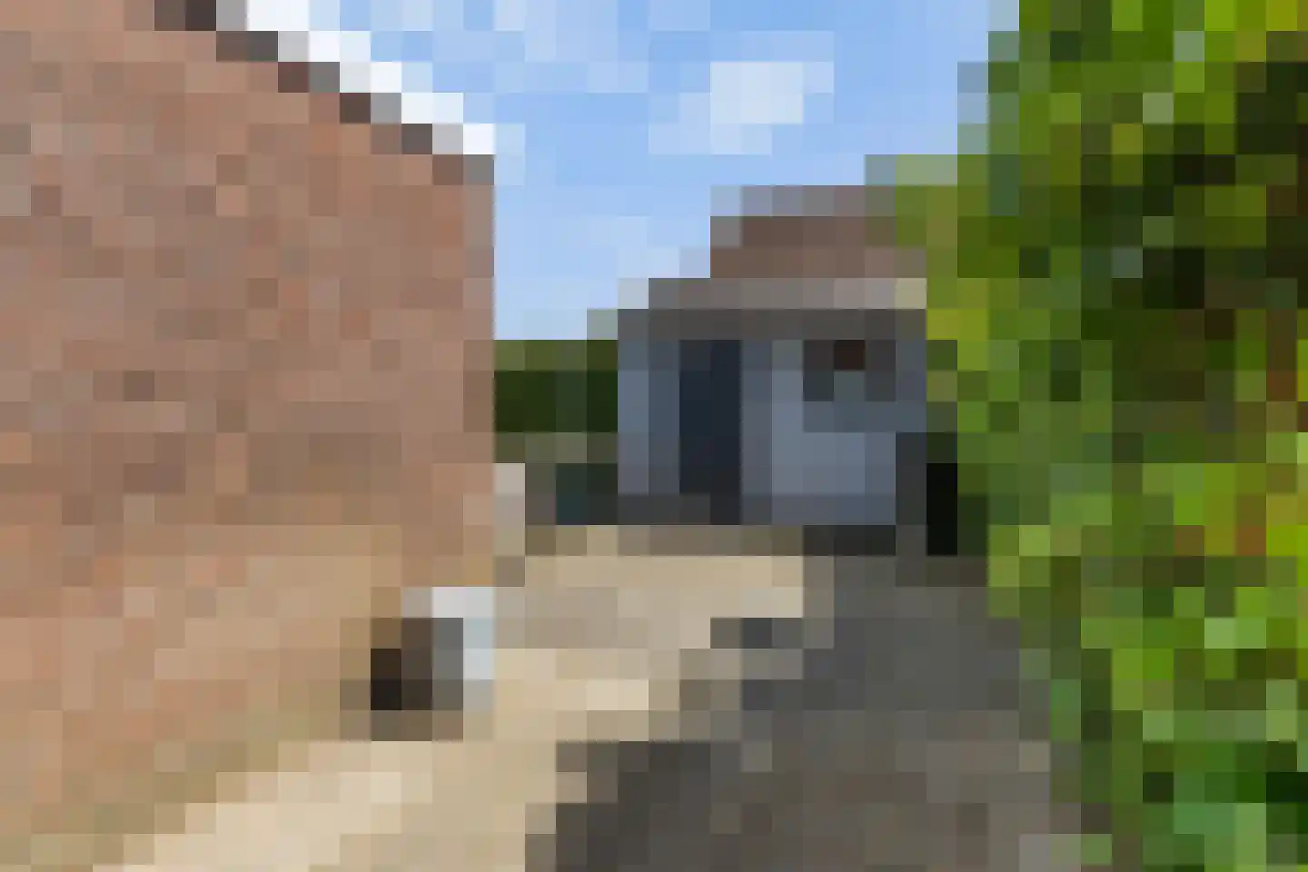 Mefrou Schiffstrjitte 10 Damwâld thumbnail 33