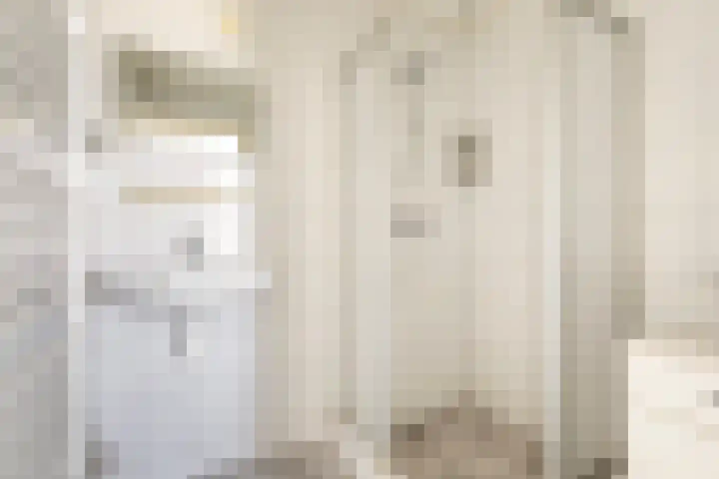 Mefrou Schiffstrjitte 10 Damwâld thumbnail 43