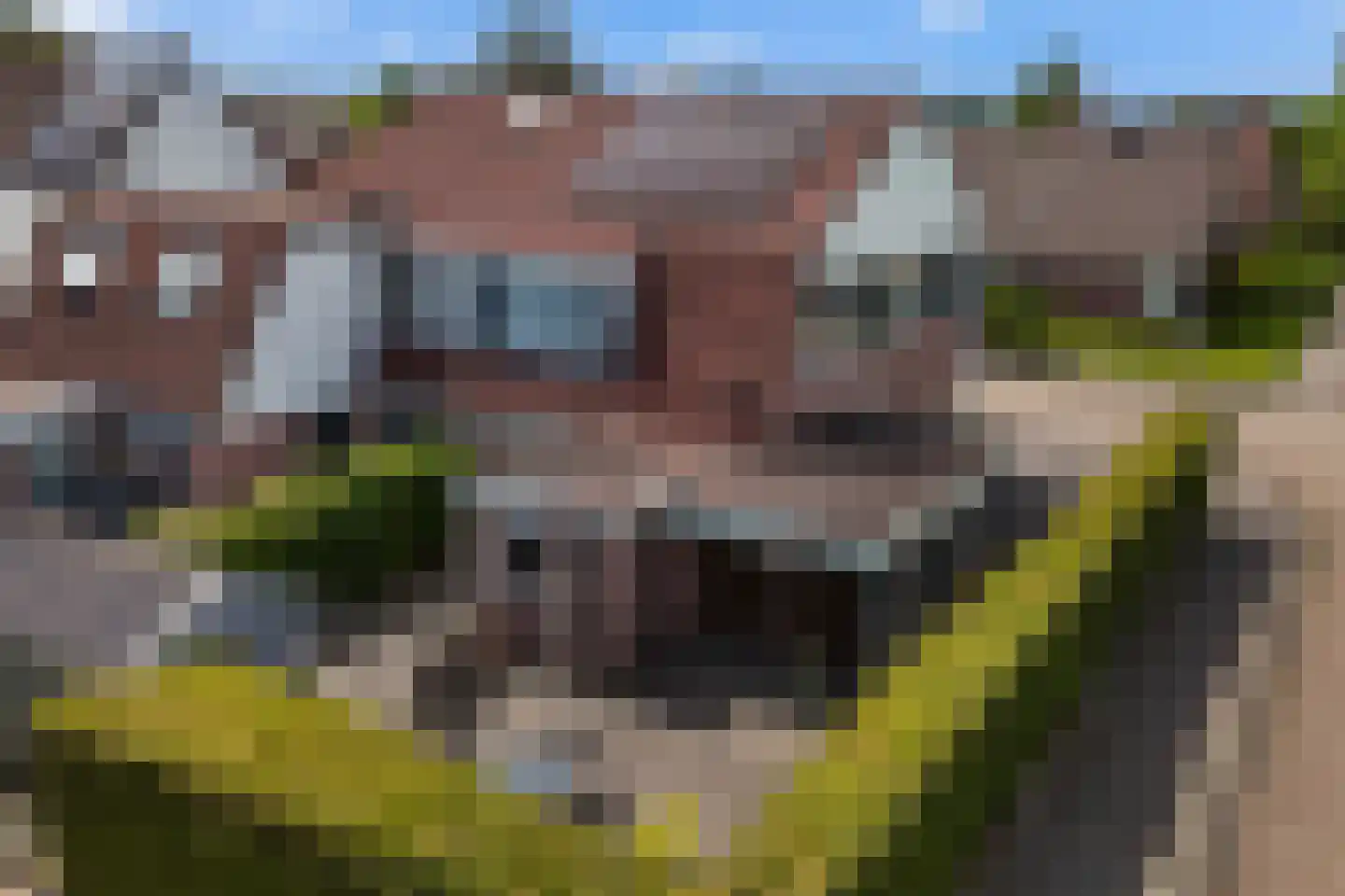 Mefrou Schiffstrjitte 10 Damwâld thumbnail 7