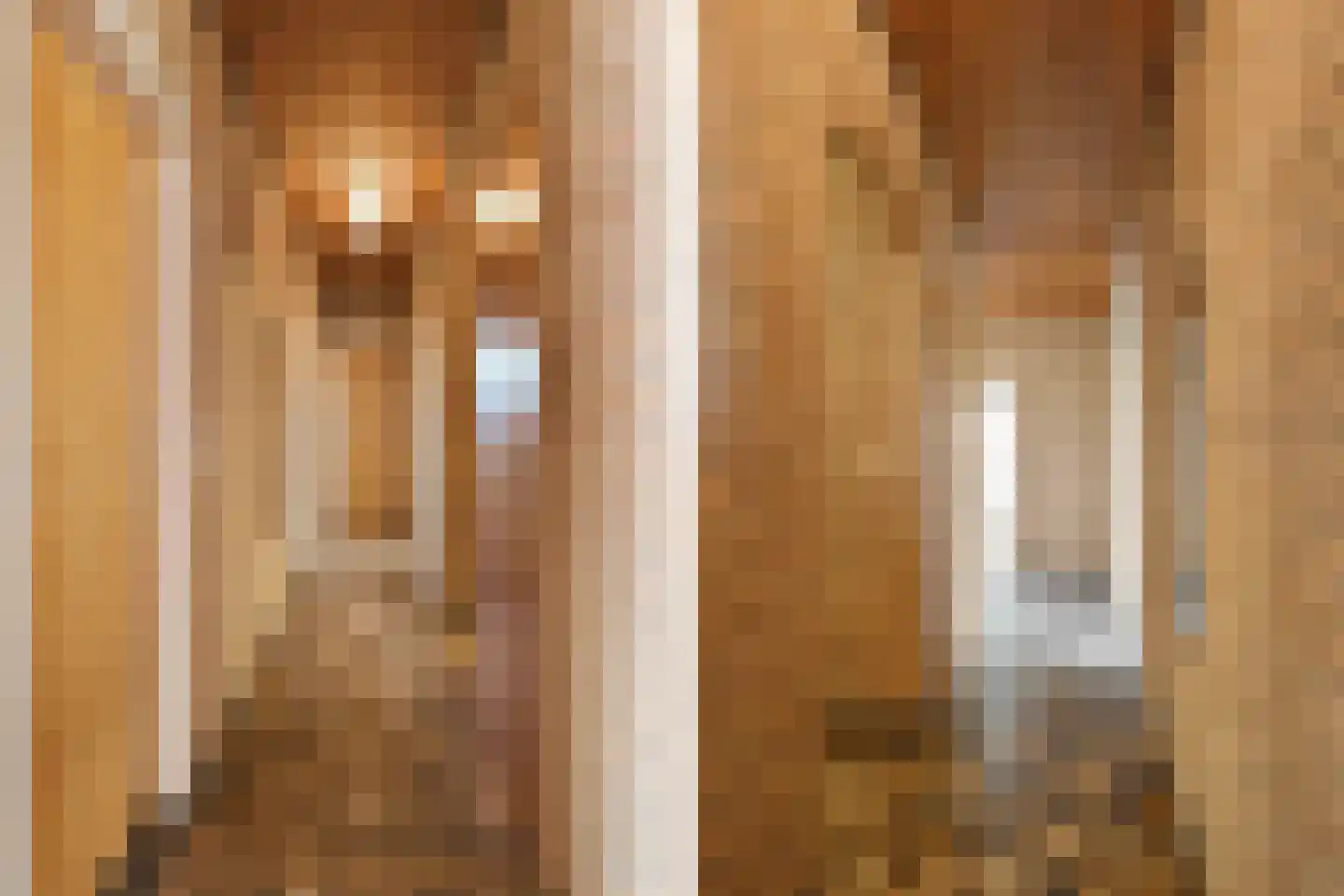 Megelsum 26 Meerlo thumbnail 14