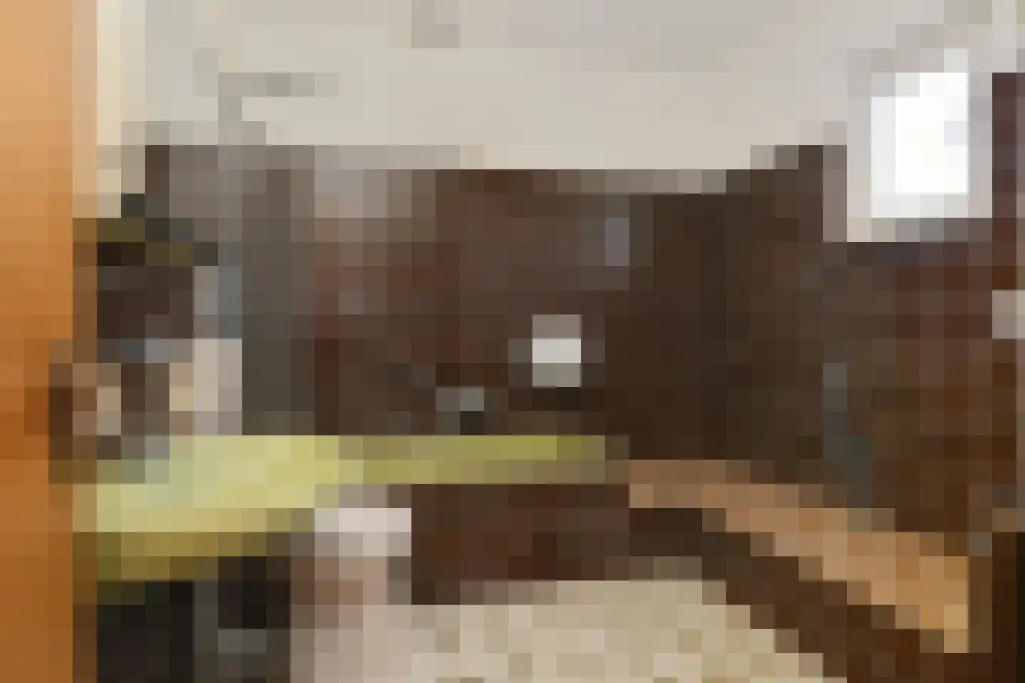 Megelsum 26 Meerlo thumbnail 16
