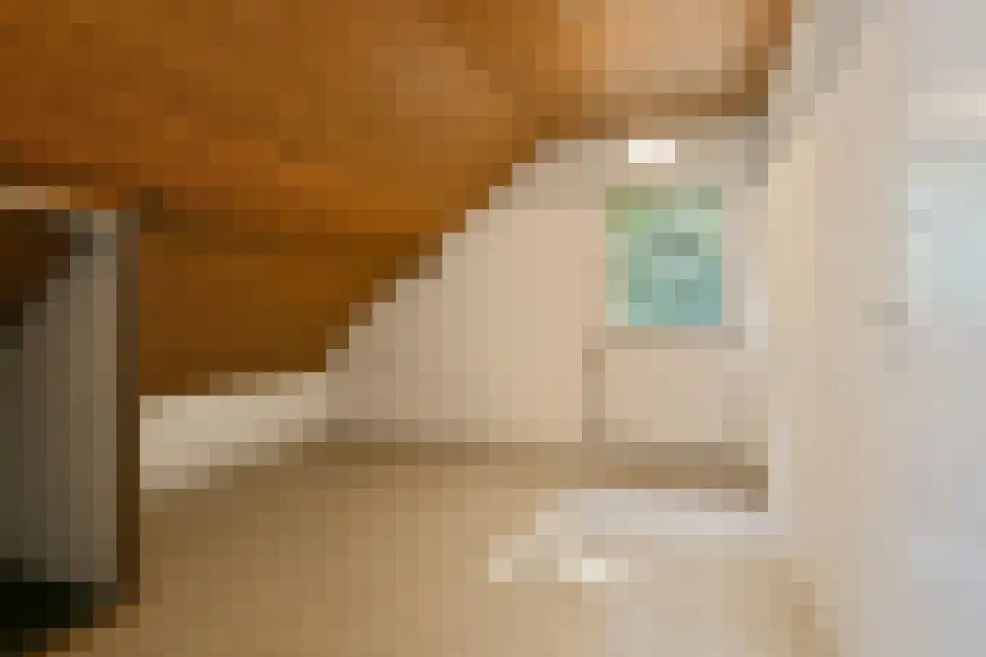 Megelsum 26 Meerlo thumbnail 18