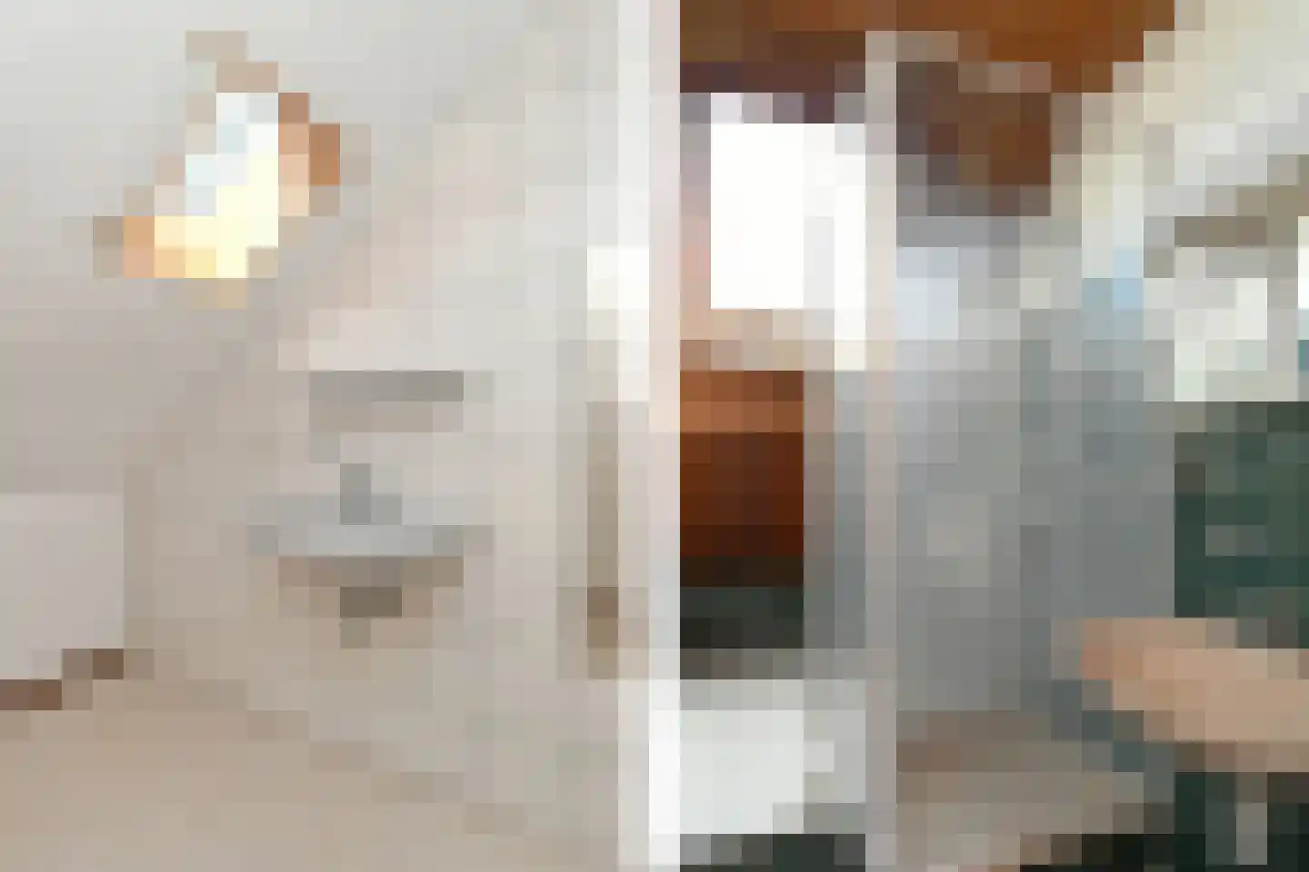 Megelsum 26 Meerlo thumbnail 20
