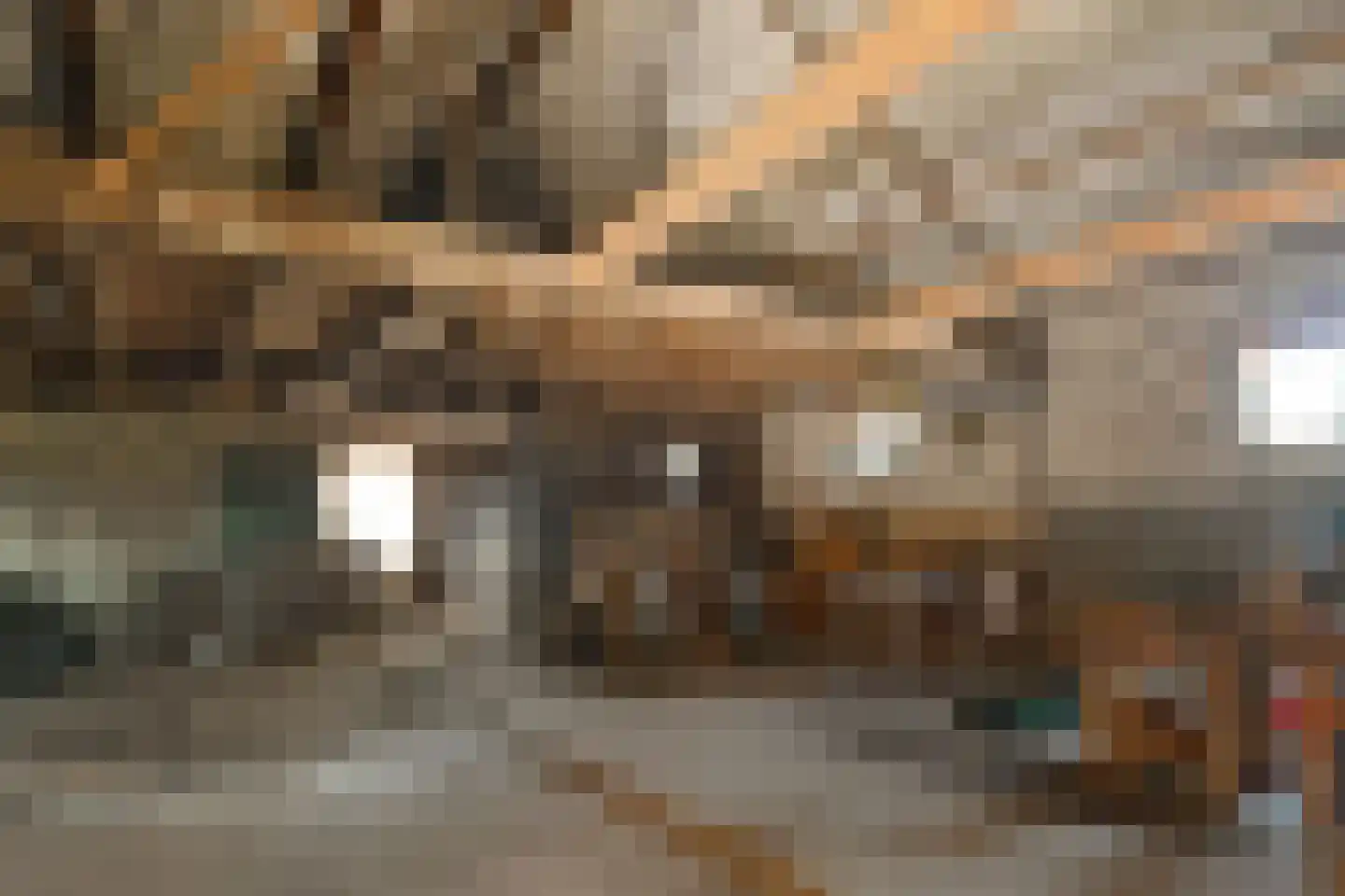 Megelsum 26 Meerlo thumbnail 26