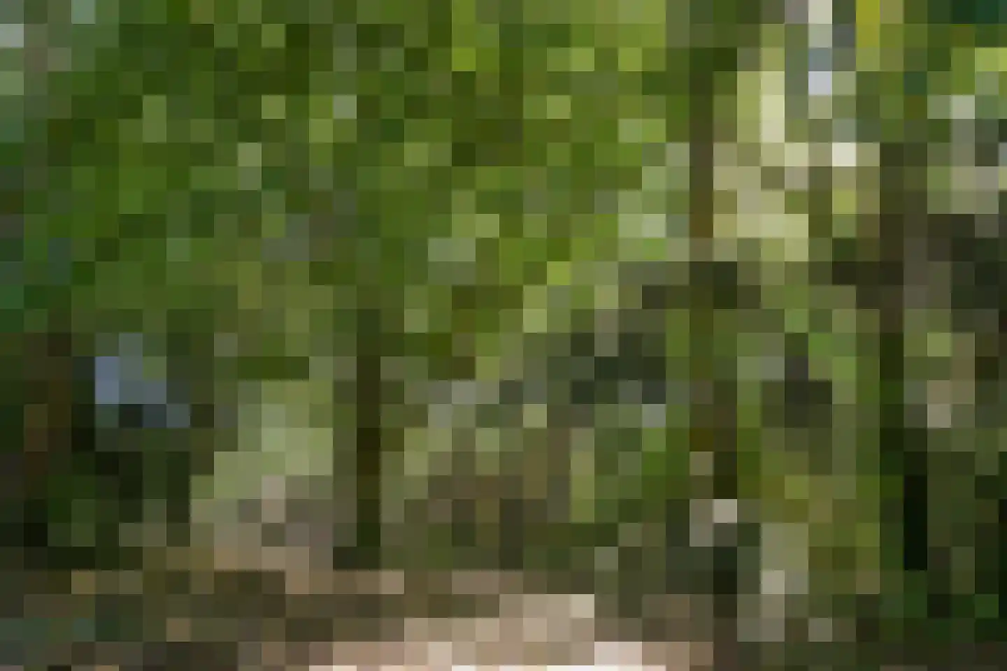 Megelsum 26 Meerlo thumbnail 30