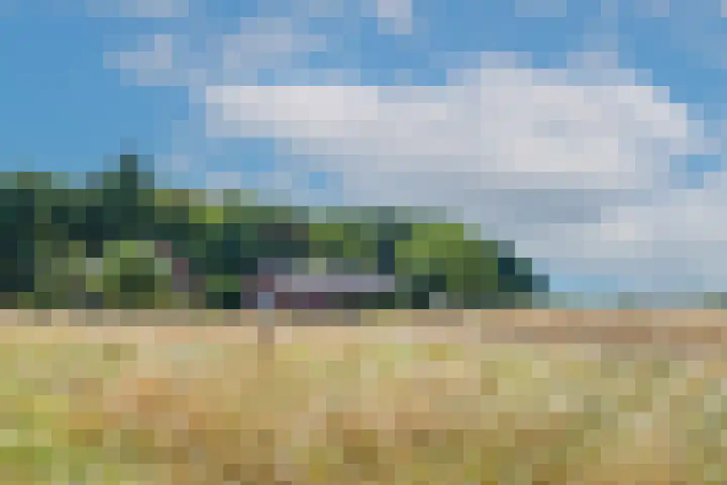 Megelsum 26 Meerlo thumbnail 39