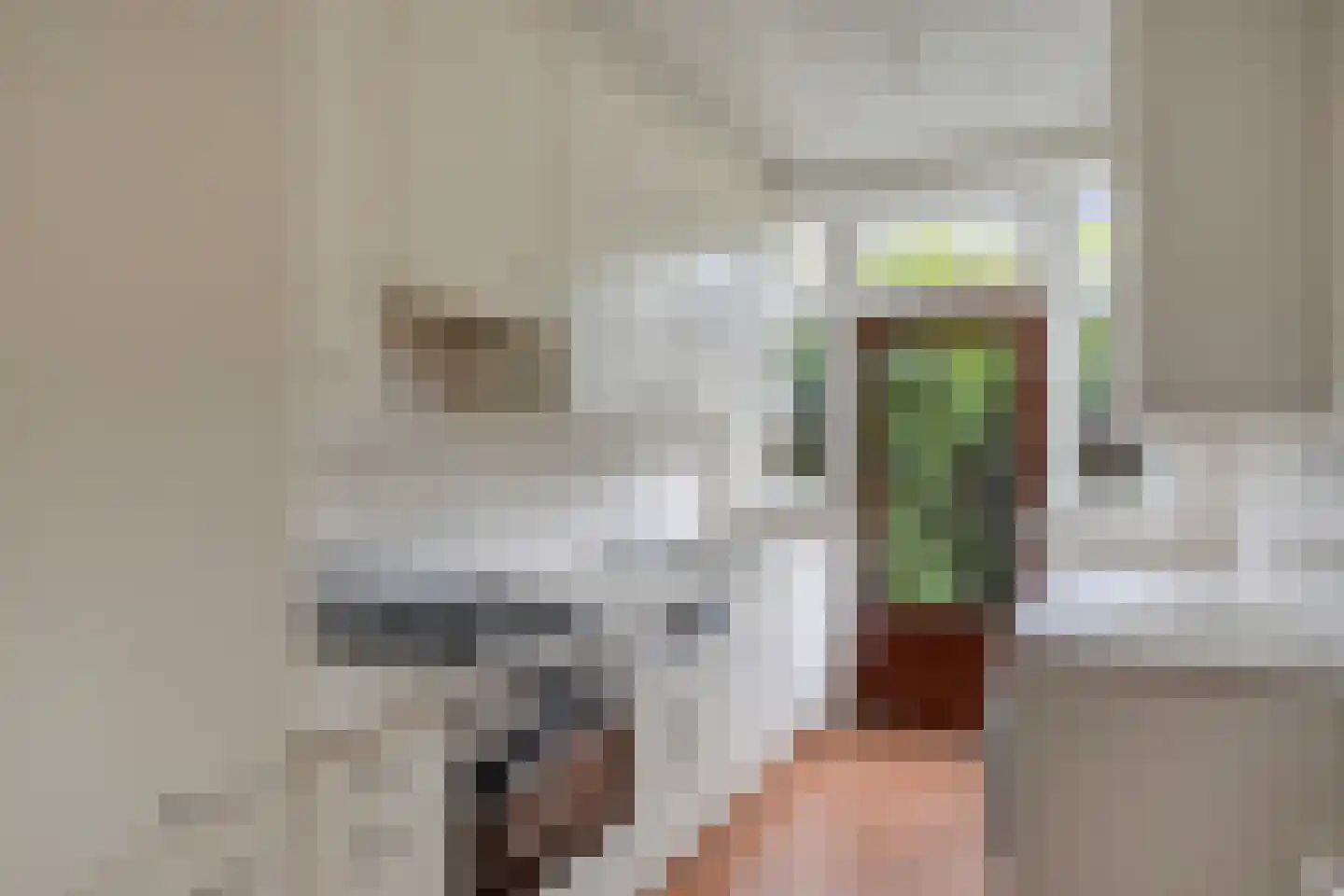 Megenstraat 13 Arnhem thumbnail 12