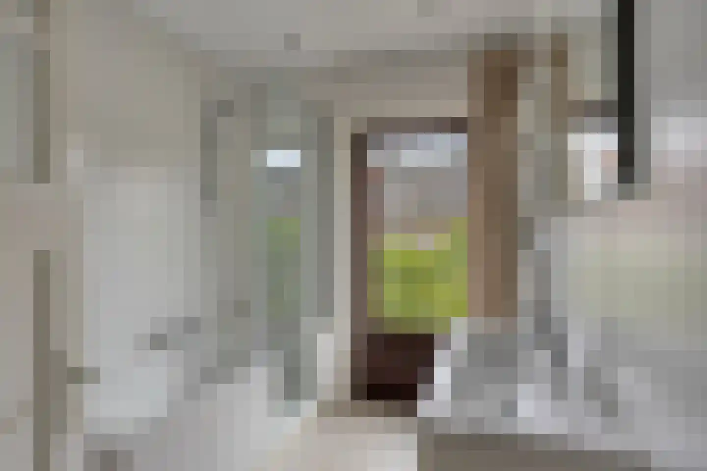 Megenstraat 13 Arnhem thumbnail 16