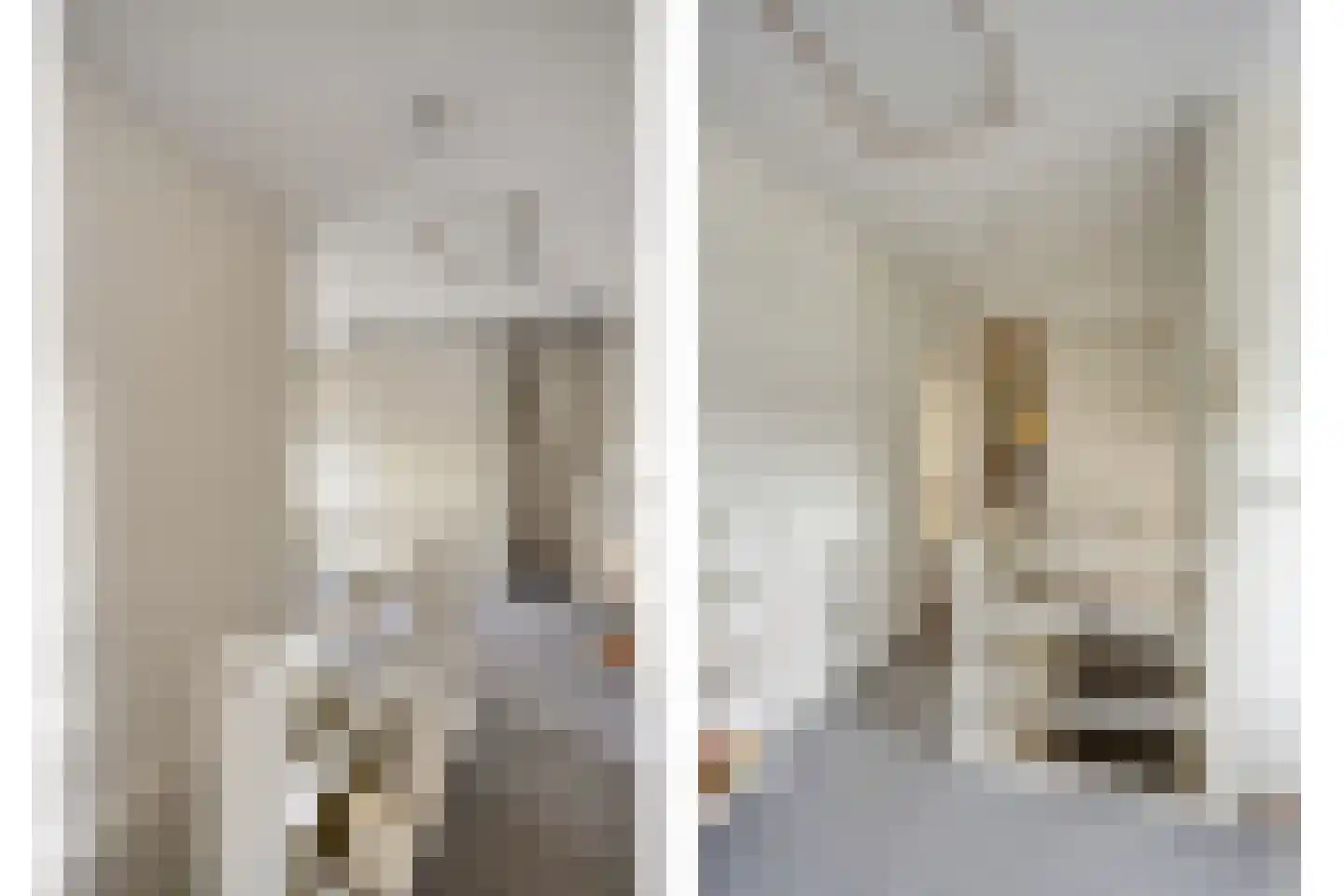 Megenstraat 13 Arnhem thumbnail 23