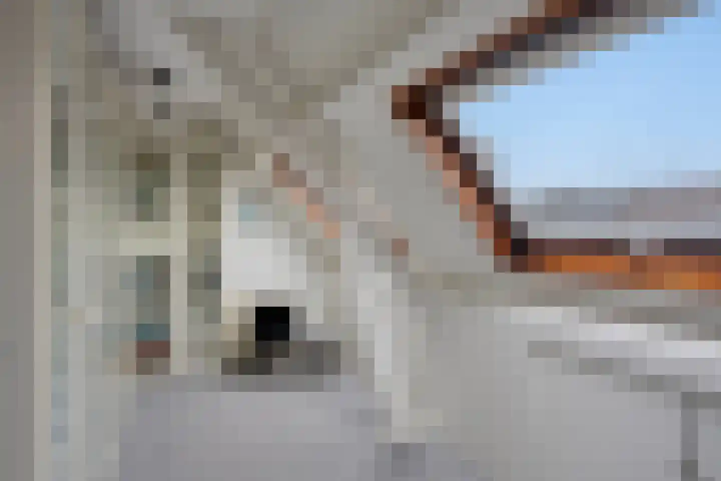 Megenstraat 13 Arnhem thumbnail 26