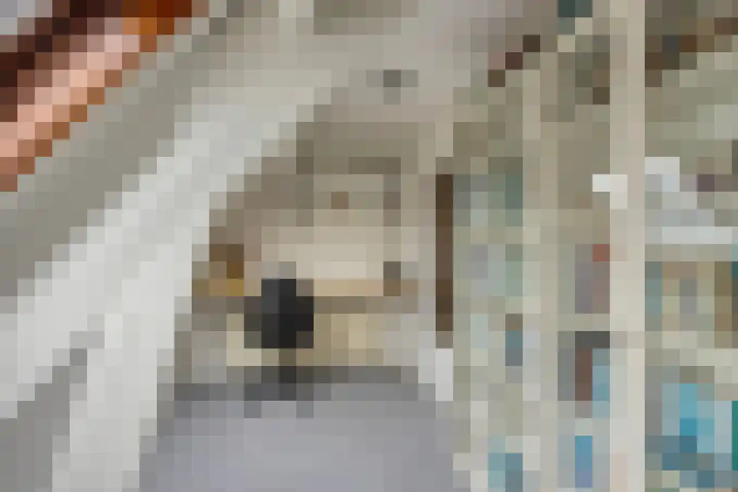 Megenstraat 13 Arnhem thumbnail 27