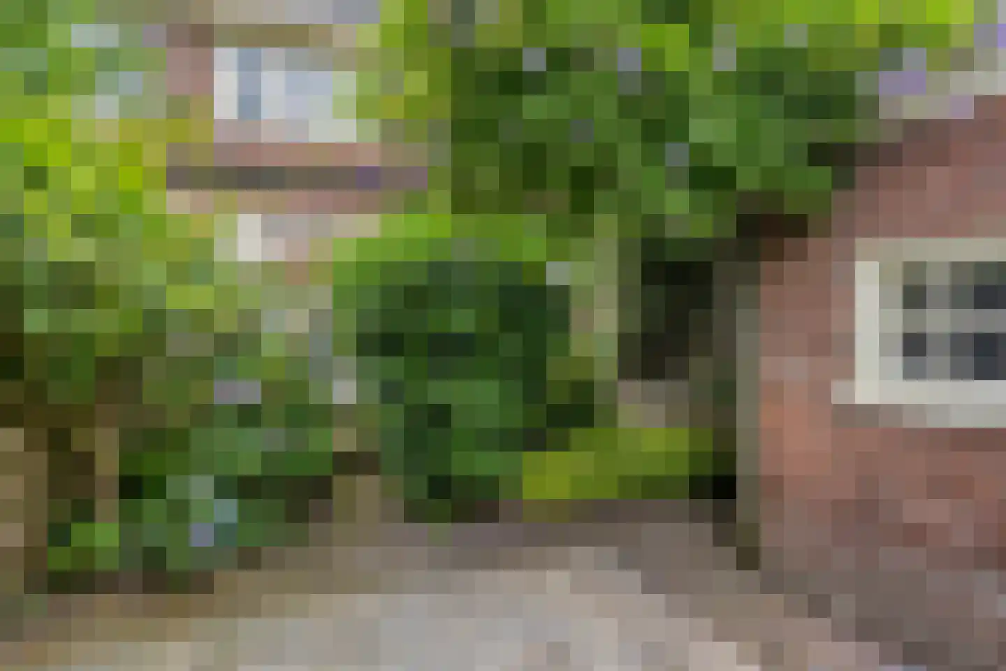 Megenstraat 13 Arnhem thumbnail 33