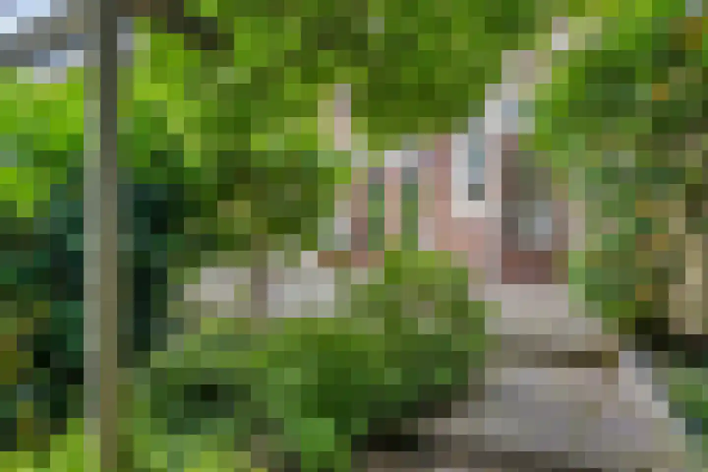 Megenstraat 13 Arnhem thumbnail 34