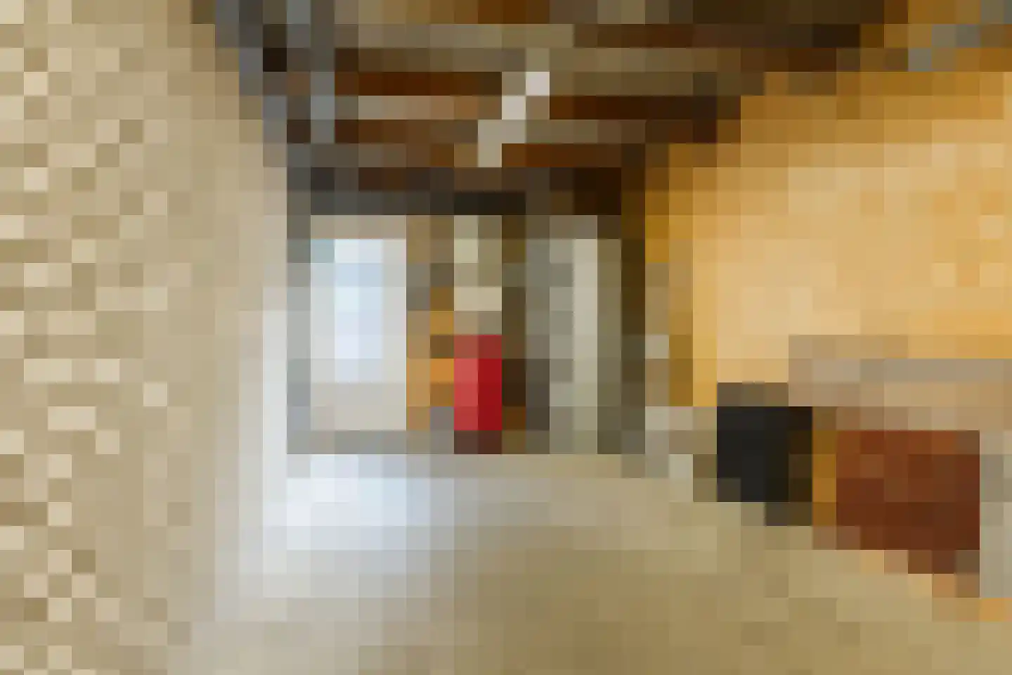 Megenstraat 151 Tilburg thumbnail 25