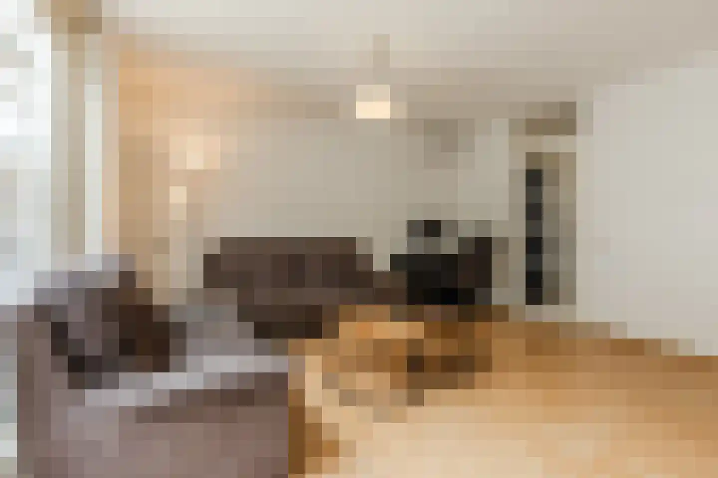 Megenstraat 151 Tilburg thumbnail 5