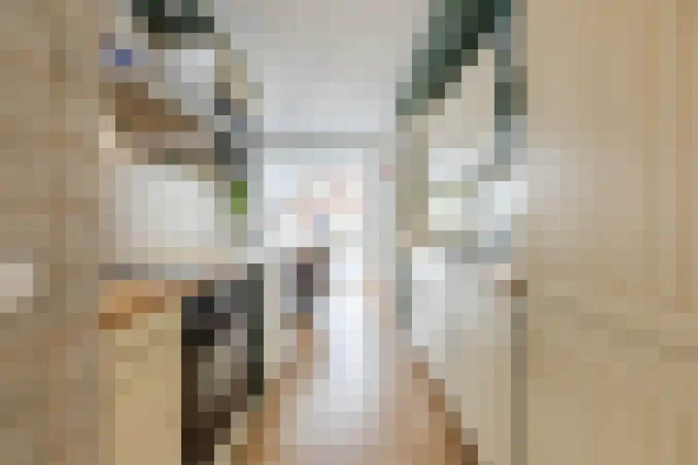 Megenstraat 151 Tilburg thumbnail 6