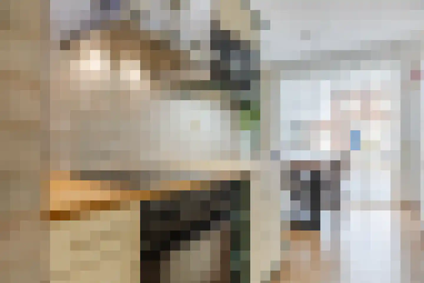 Megenstraat 151 Tilburg thumbnail 7
