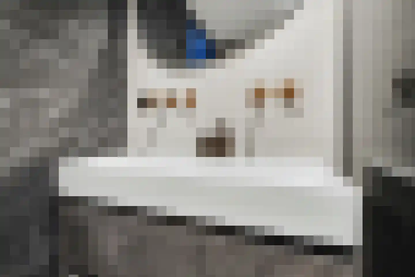 Megenstraat 157 Tilburg thumbnail 36