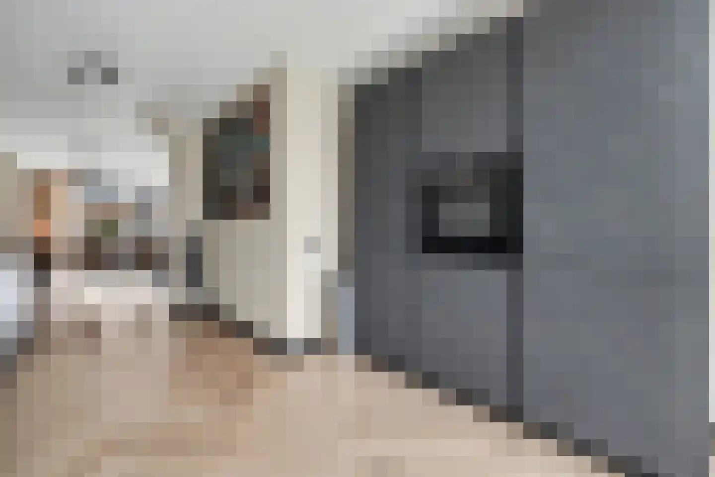 Megenstraat 157 Tilburg thumbnail 5