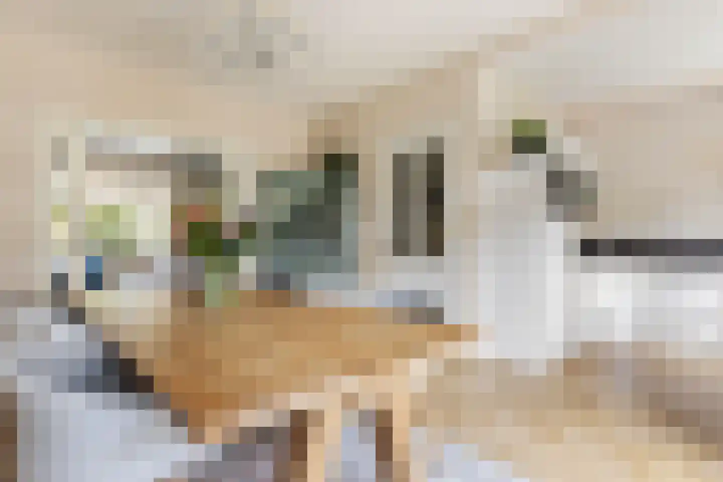 Megenstraat 25 Arnhem thumbnail 18
