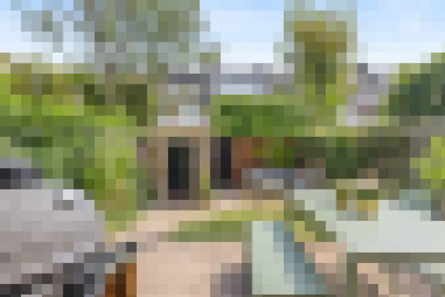 Megenstraat 25 Arnhem thumbnail 22