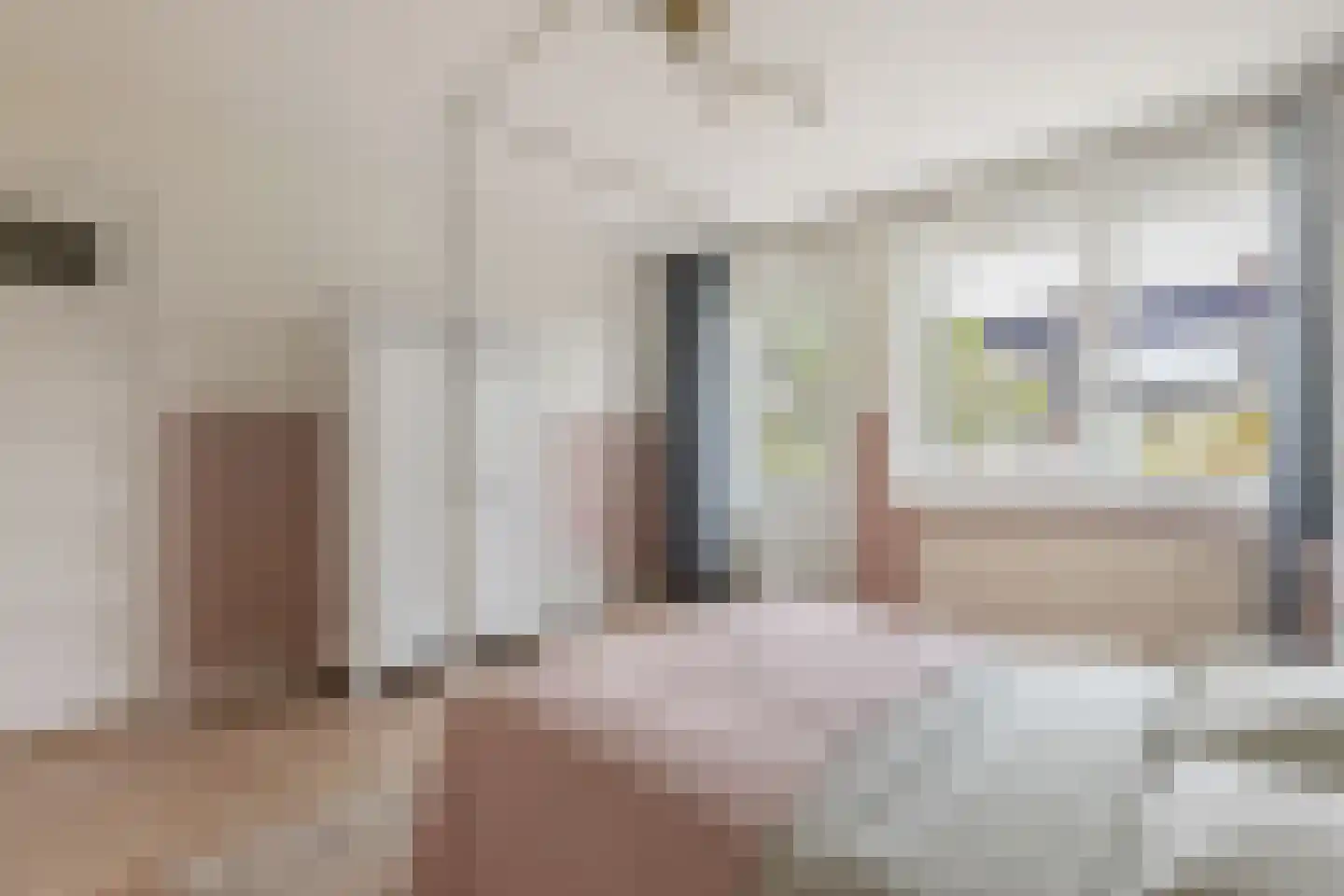 Megenstraat 25 Arnhem thumbnail 26