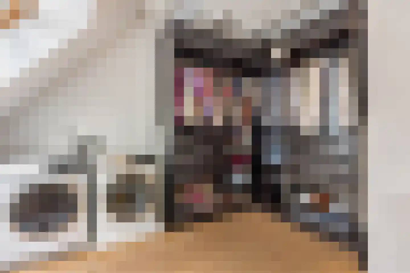 Megenstraat 25 Arnhem thumbnail 35