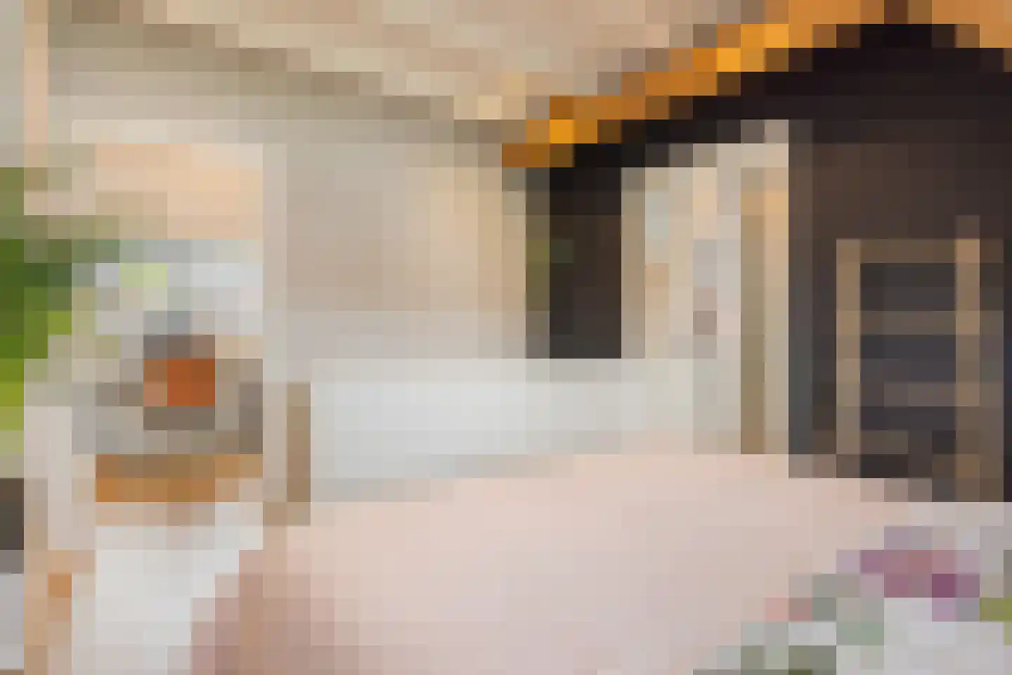 Megenstraat 25 Arnhem thumbnail 40