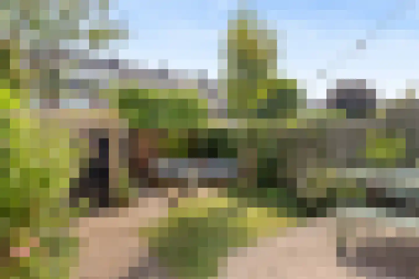 Megenstraat 25 Arnhem thumbnail 47