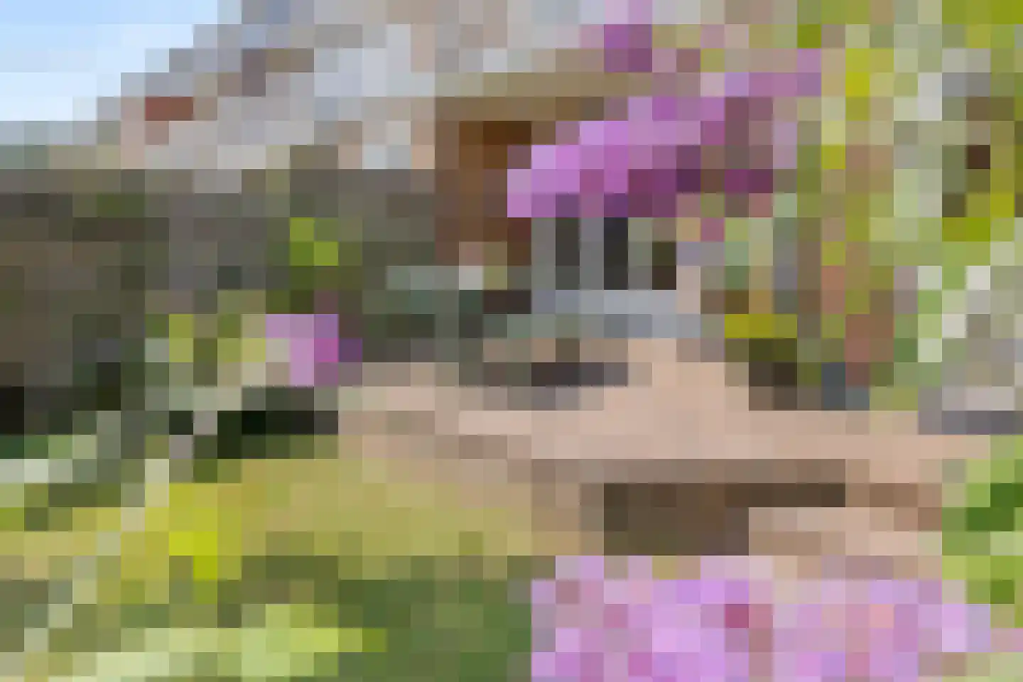 Megenstraat 25 Arnhem thumbnail 48