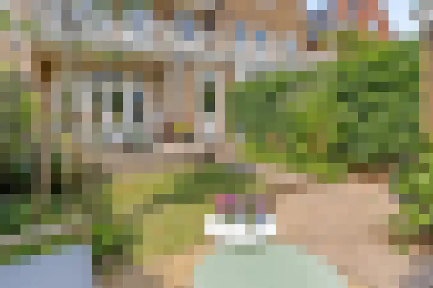 Megenstraat 25 Arnhem thumbnail 49