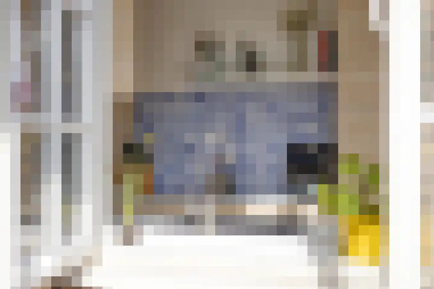 Megenstraat 29 Arnhem thumbnail 14