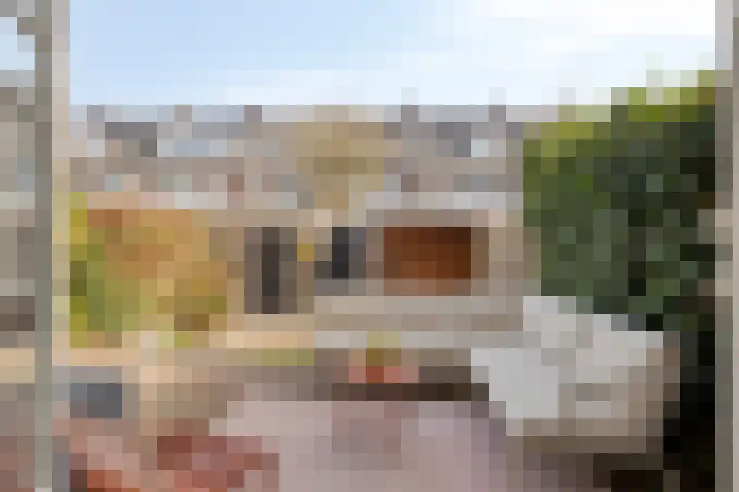Megenstraat 29 Arnhem thumbnail 17