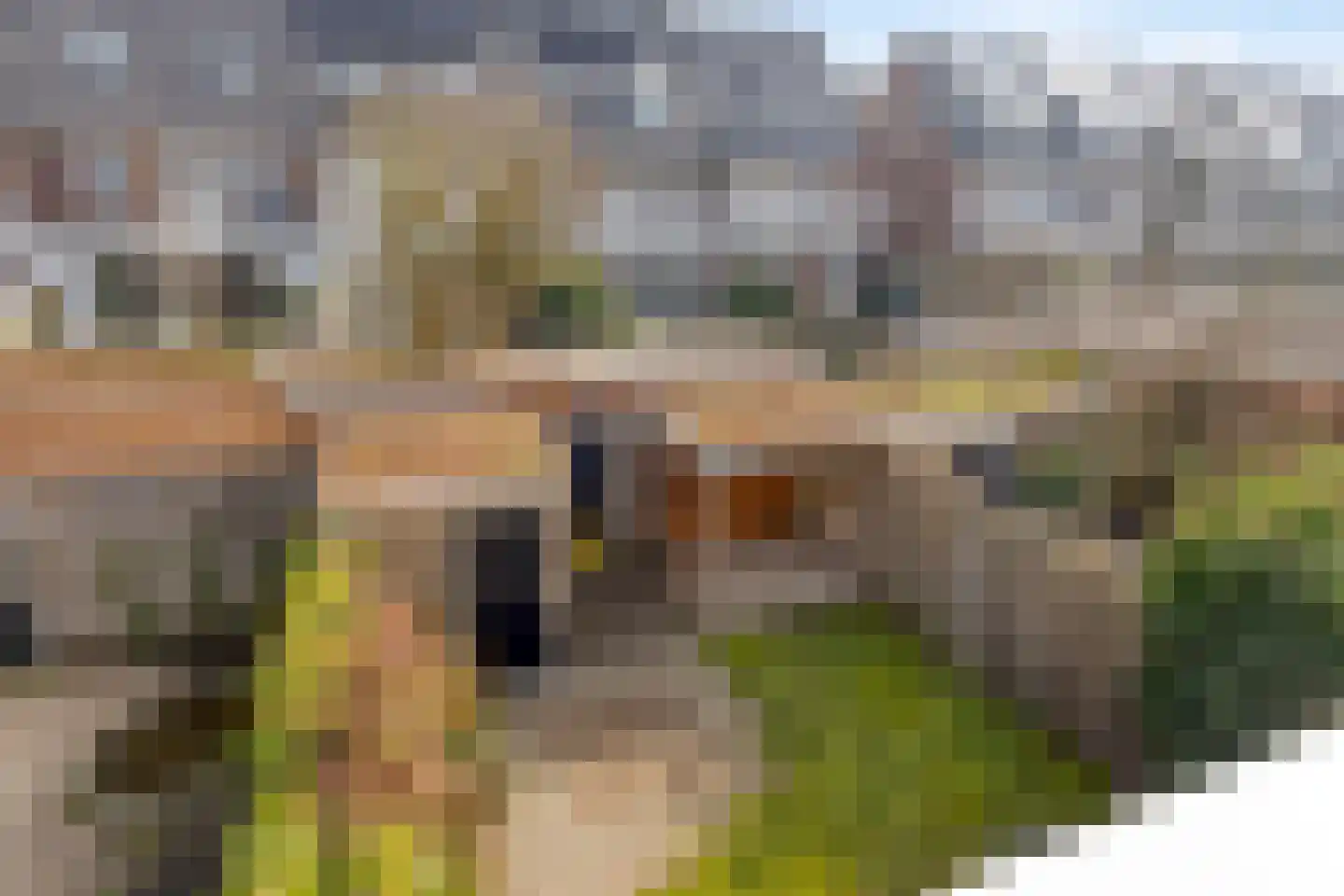Megenstraat 29 Arnhem thumbnail 32