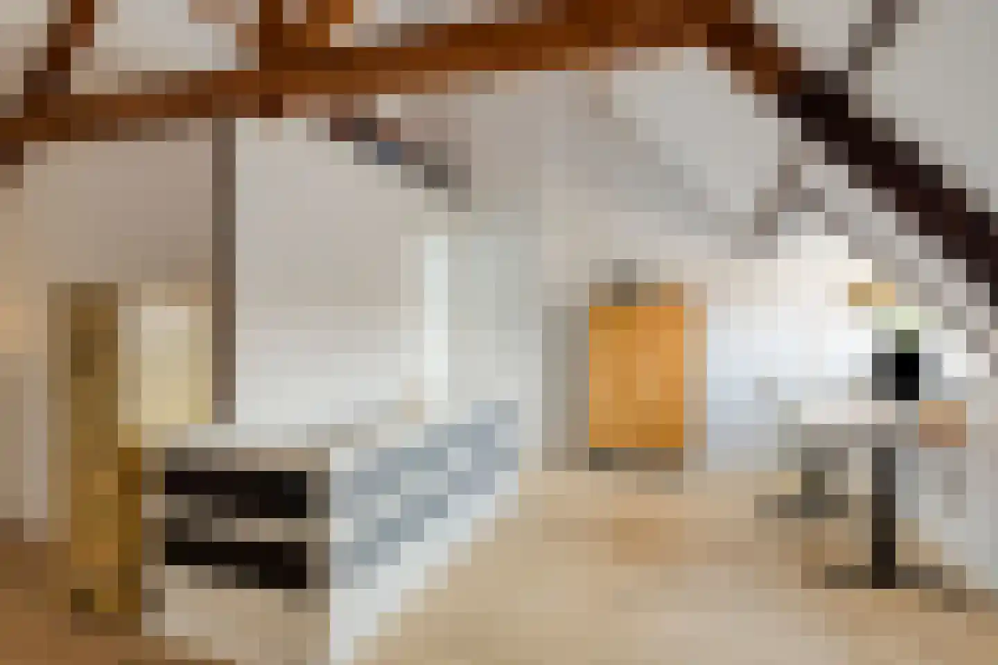 Megenstraat 29 Arnhem thumbnail 43