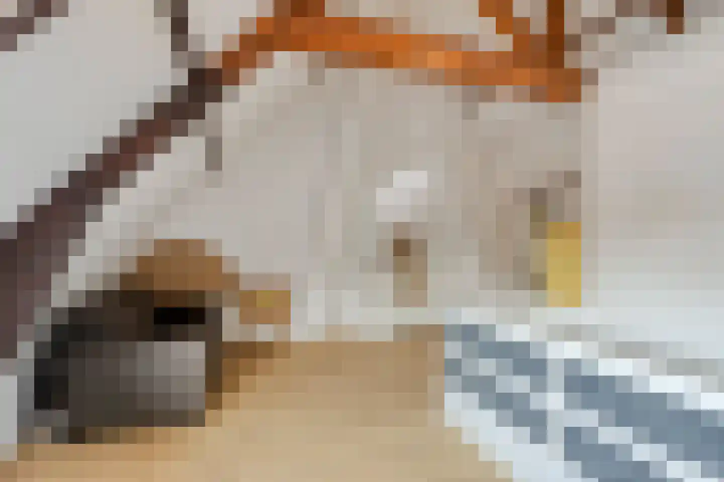 Megenstraat 29 Arnhem thumbnail 44